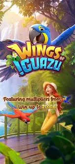 Wings Of Iguazu